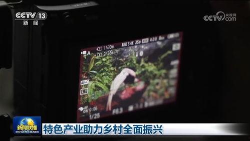 国产a级一级久久毛片
